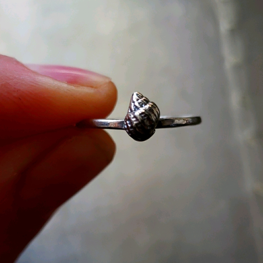 Verameat Shell Ring in Sterling Silver 🐚